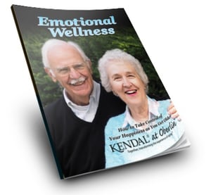 Emotional wellness guide